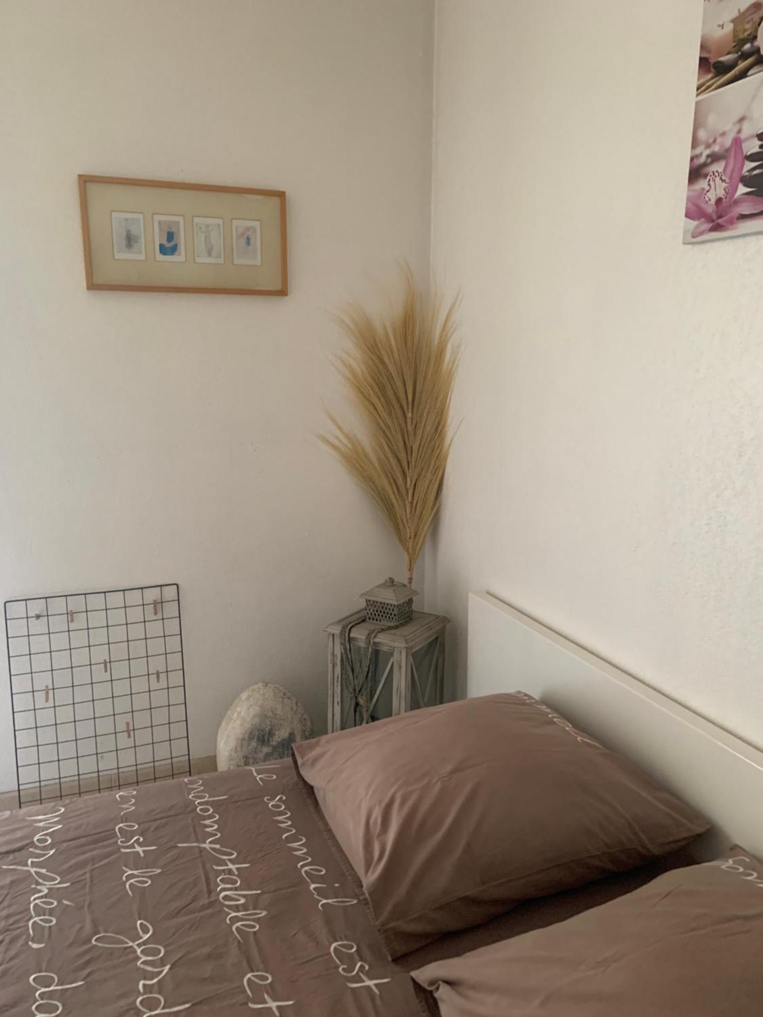 Votre Sejour Cosy A Frejus! Apartment Ngoại thất bức ảnh